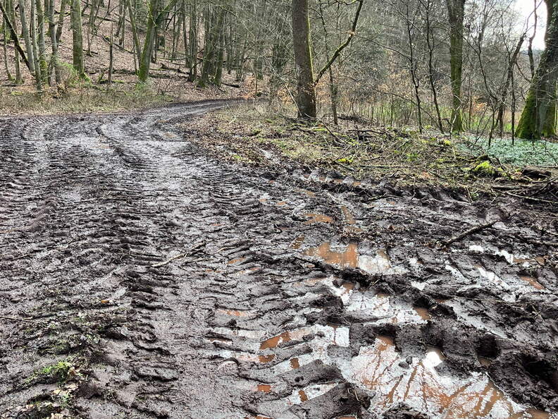 24-02-26 14-50-21 8715